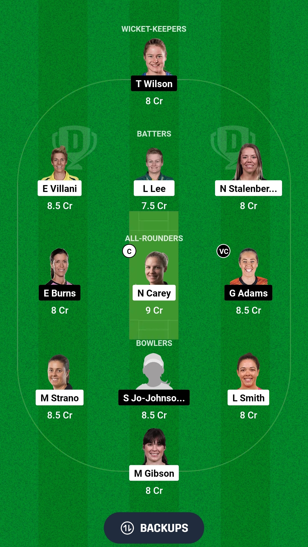 TAS-W vs NSW-W Dream11 Prediction Fantasy Cricket Tips Dream11 Team Australian Women's ODD 2024 