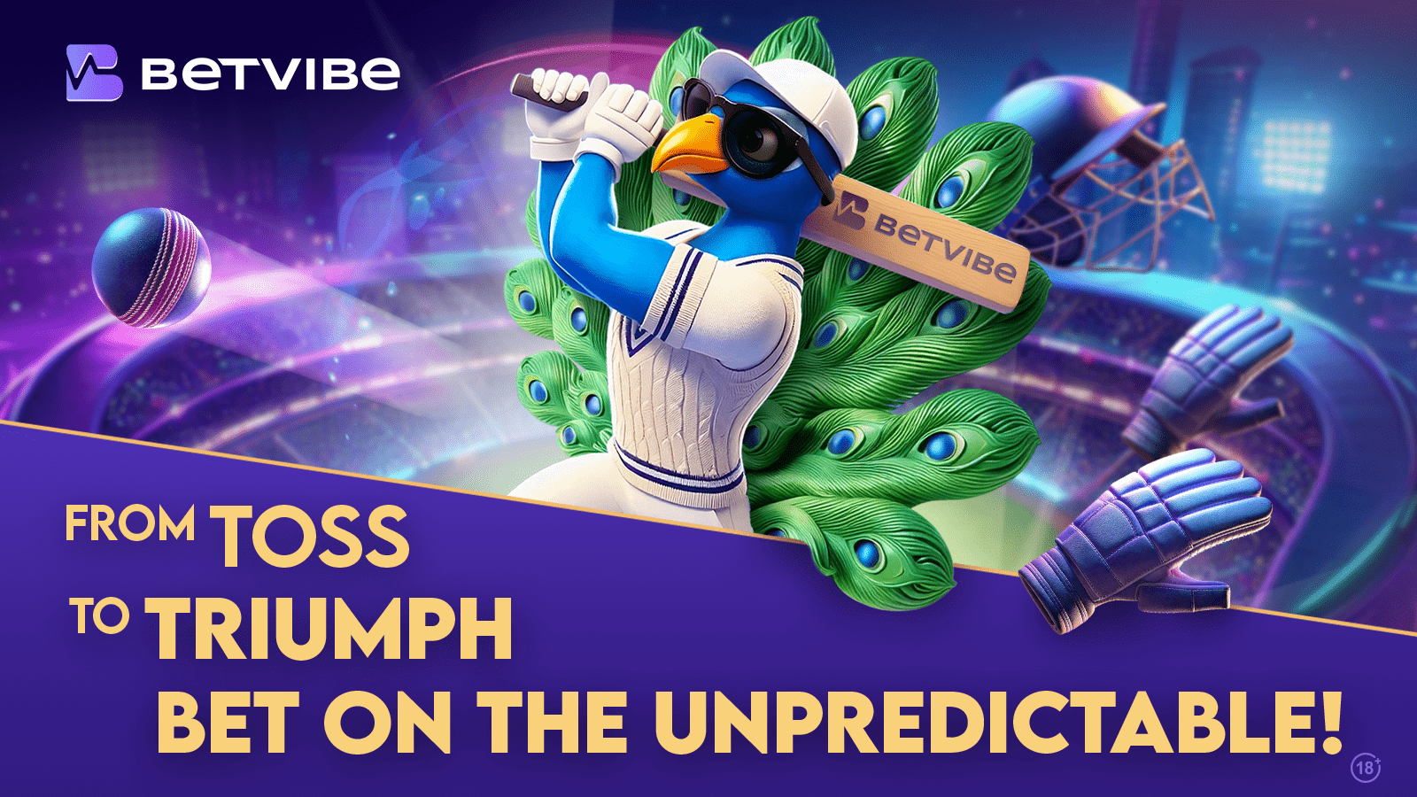 BETVIBE Mr Vibe Cricket Betting Min