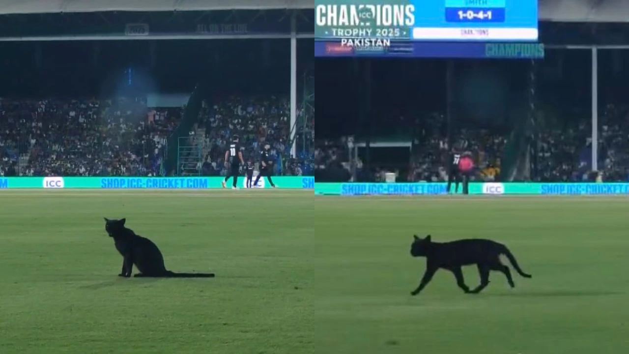 ICC Champions Trophy 2025: Watch - Black CAT returns to Karachi, interrupts Pakistan vs New Zealand match