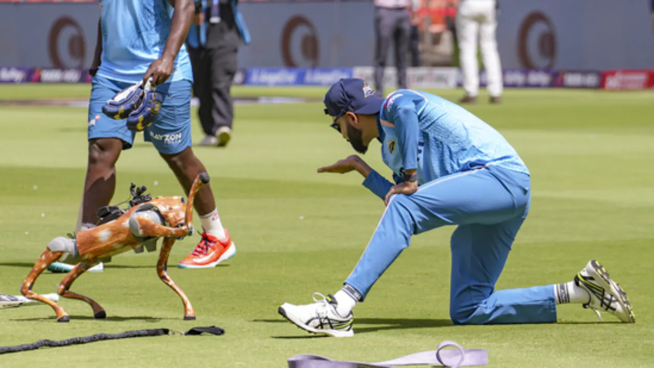 Champak IPL BCCI