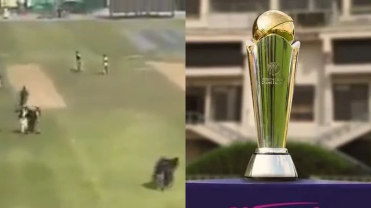 PCB, ICC Champions Trophy 2025
