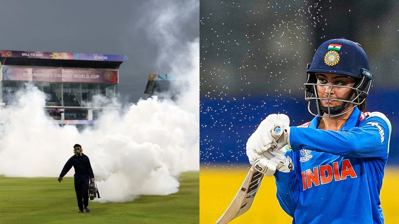 Insects Attack India Pakistan Match Watch India And Pakistan Attacked During Live World Cup Match Play Halted