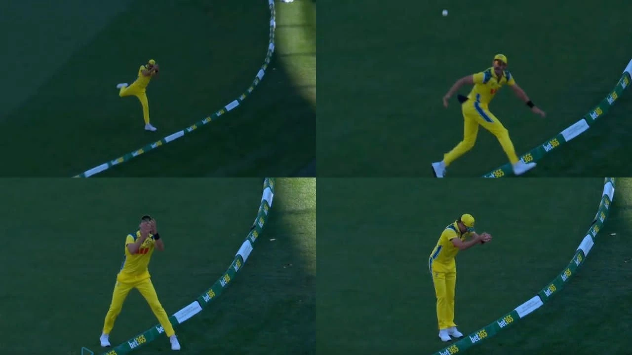 Mitchell Starc Catch