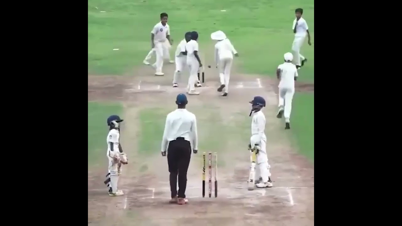 cricket funny video