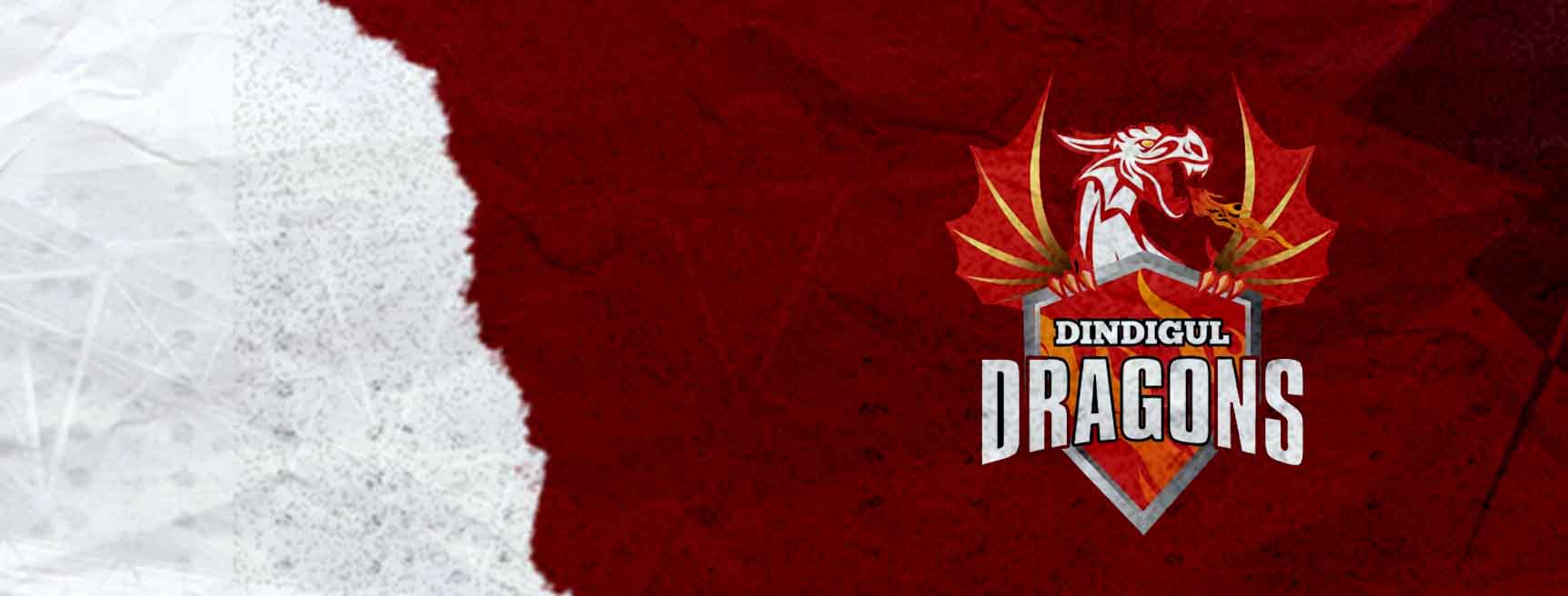 Dindigul Dragons Cricket Team