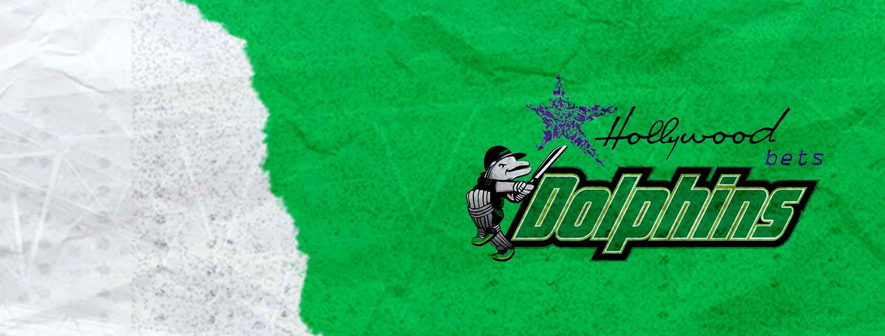 Dolphins Cricket Team