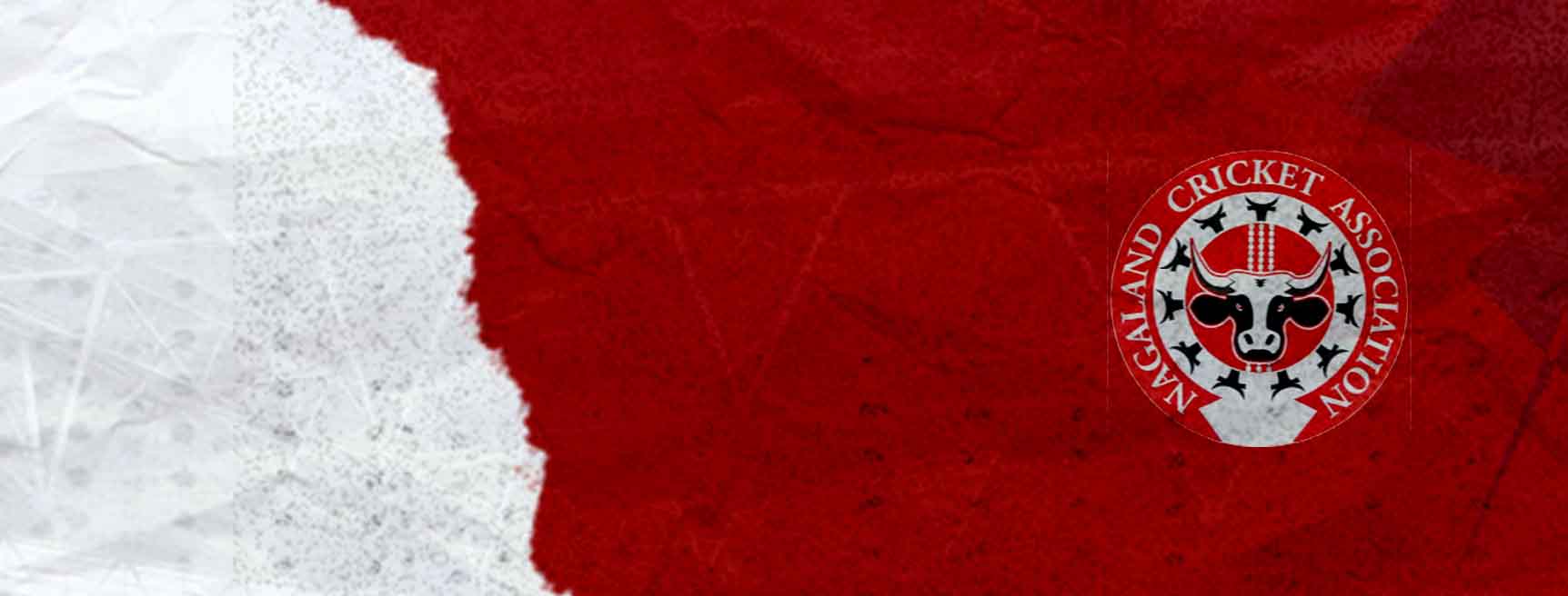 Nagaland Cricket Team