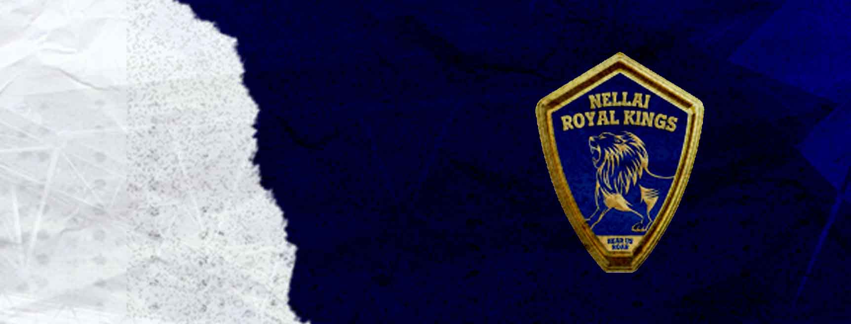 Nellai Royal Kings Cricket Team