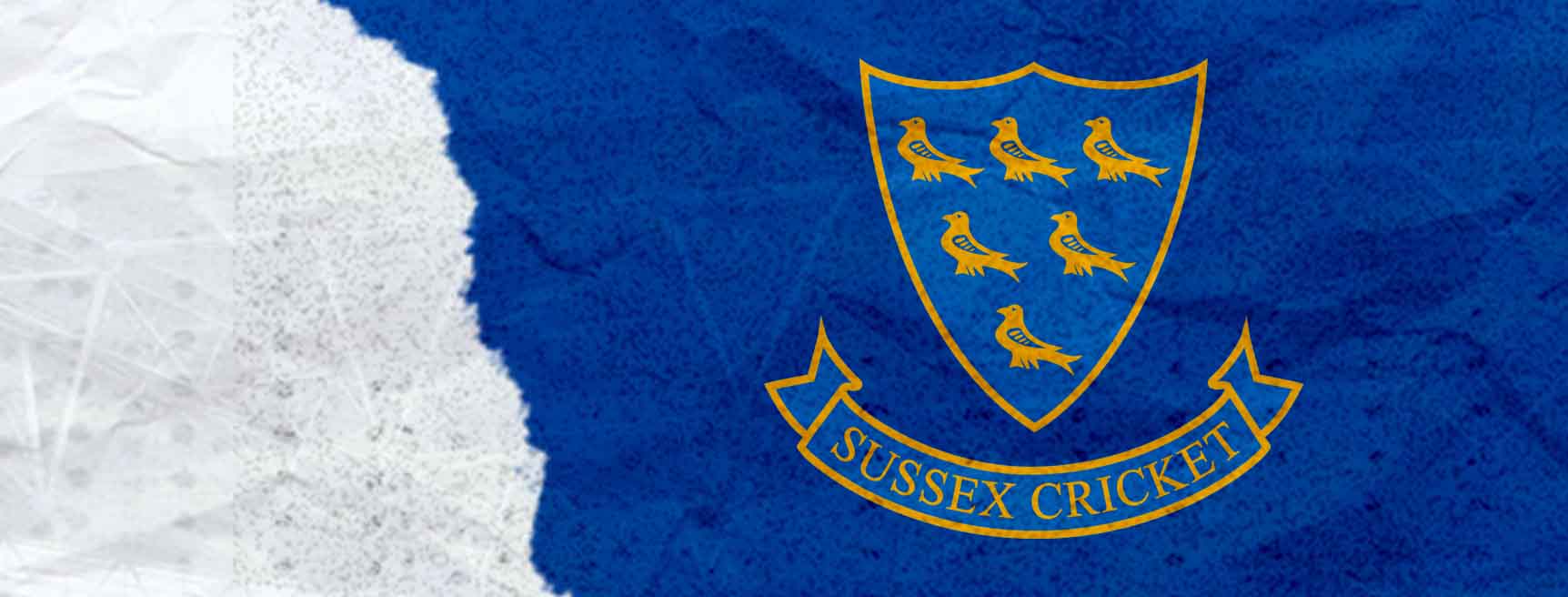 Sussex Cricket Team