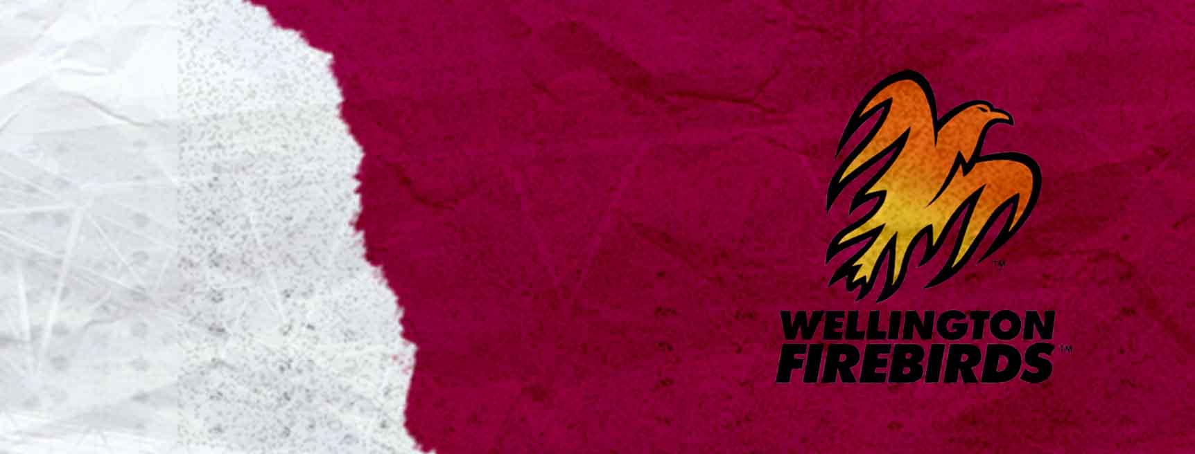 Wellington Firebirds cricket team