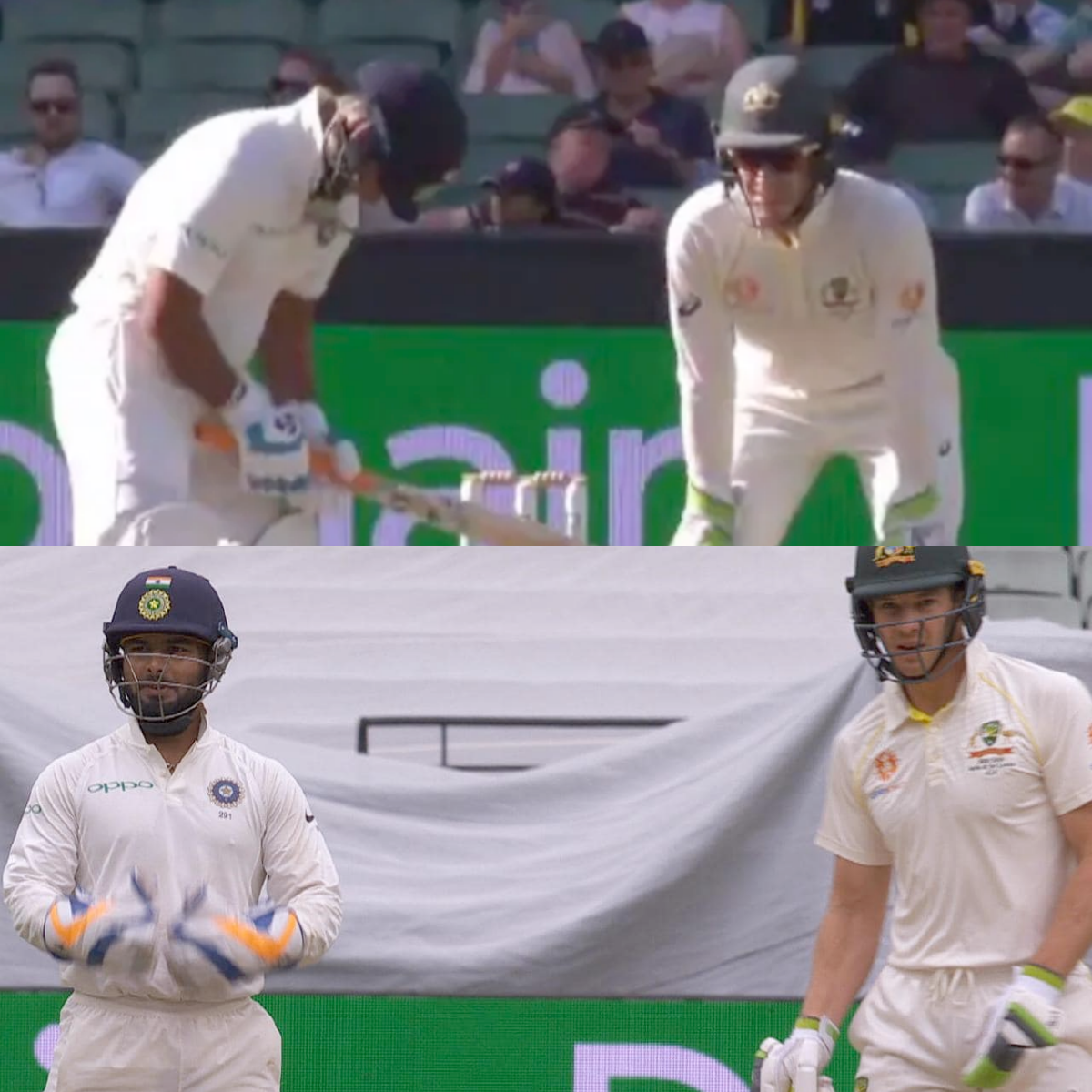 Rishabh Pant, Tim Paine