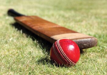 SAU vs WAU Dream11 Prediction, Fantasy Cricket Tips, Playing XI, Pitch Report, Dream11 Team, Injury Update – Australia One-Day Cup 8 Australia One Day Cup Dream11 Prediction Fantasy Cricket Tips Dream11 Team