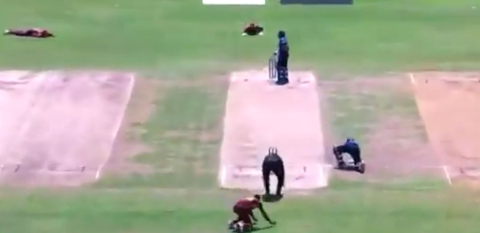 Watch- Bee Swarm Forces Sri Lanka And West Indies Players To Take Cover During The Third ODI