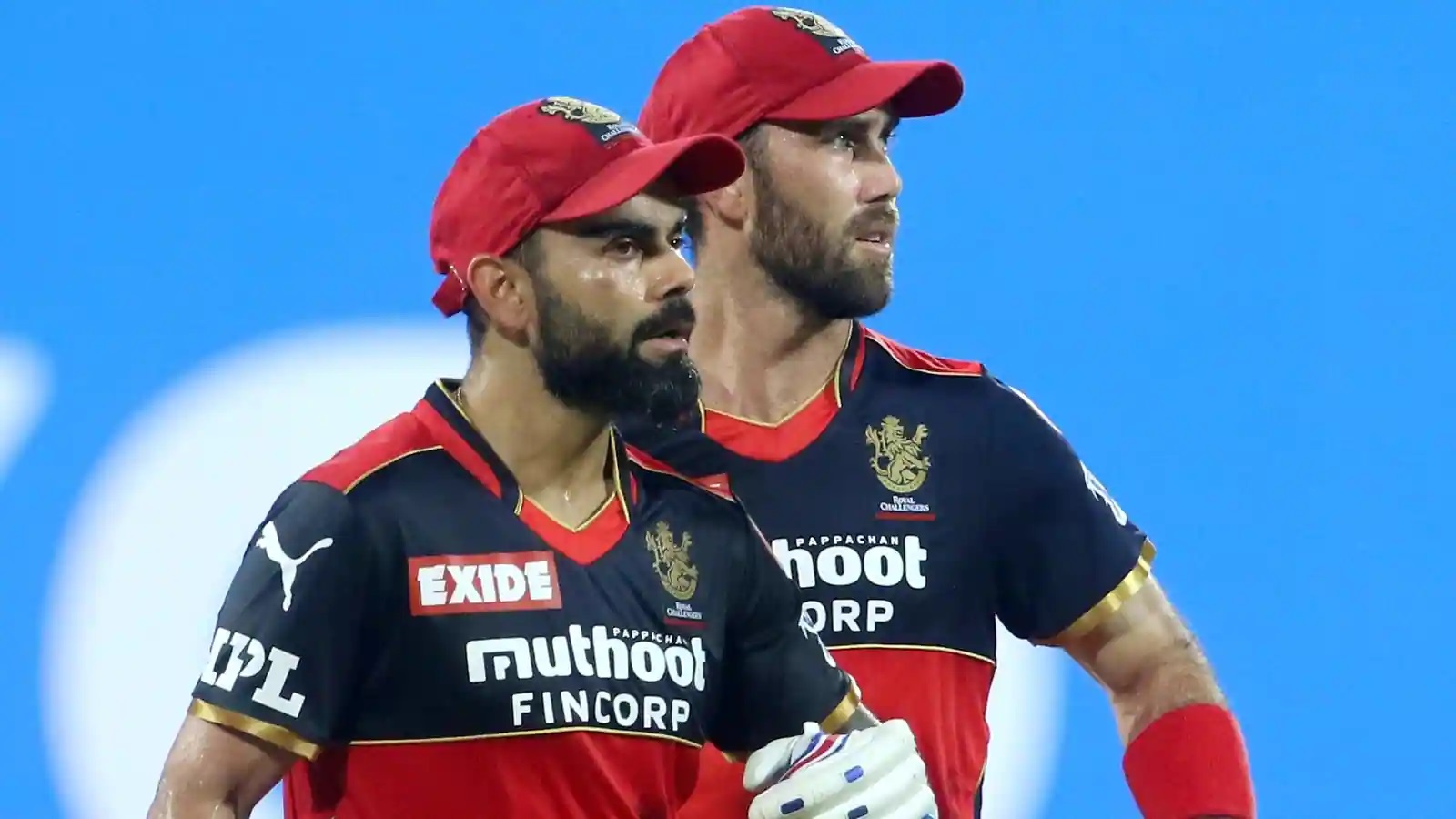 Virat Kohli and Glenn Maxwell