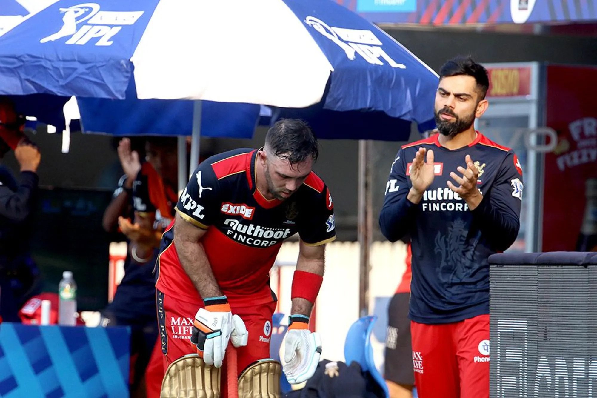 Glenn Maxwell, Virat Kohli