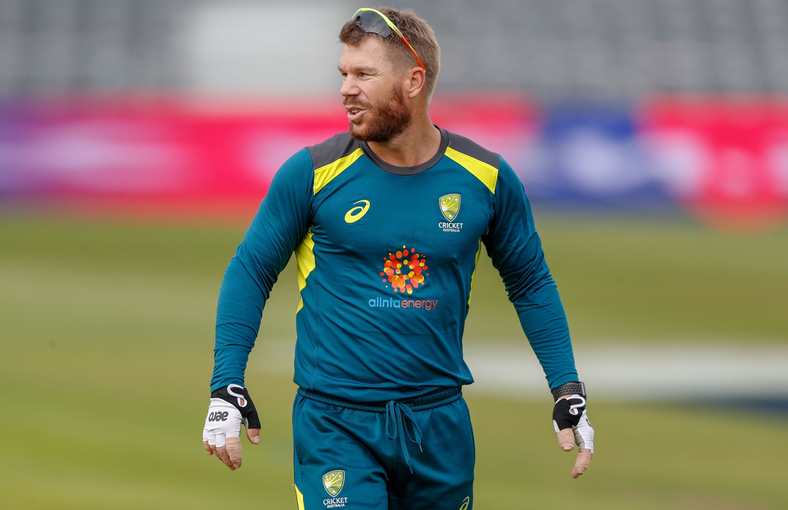 David Warner