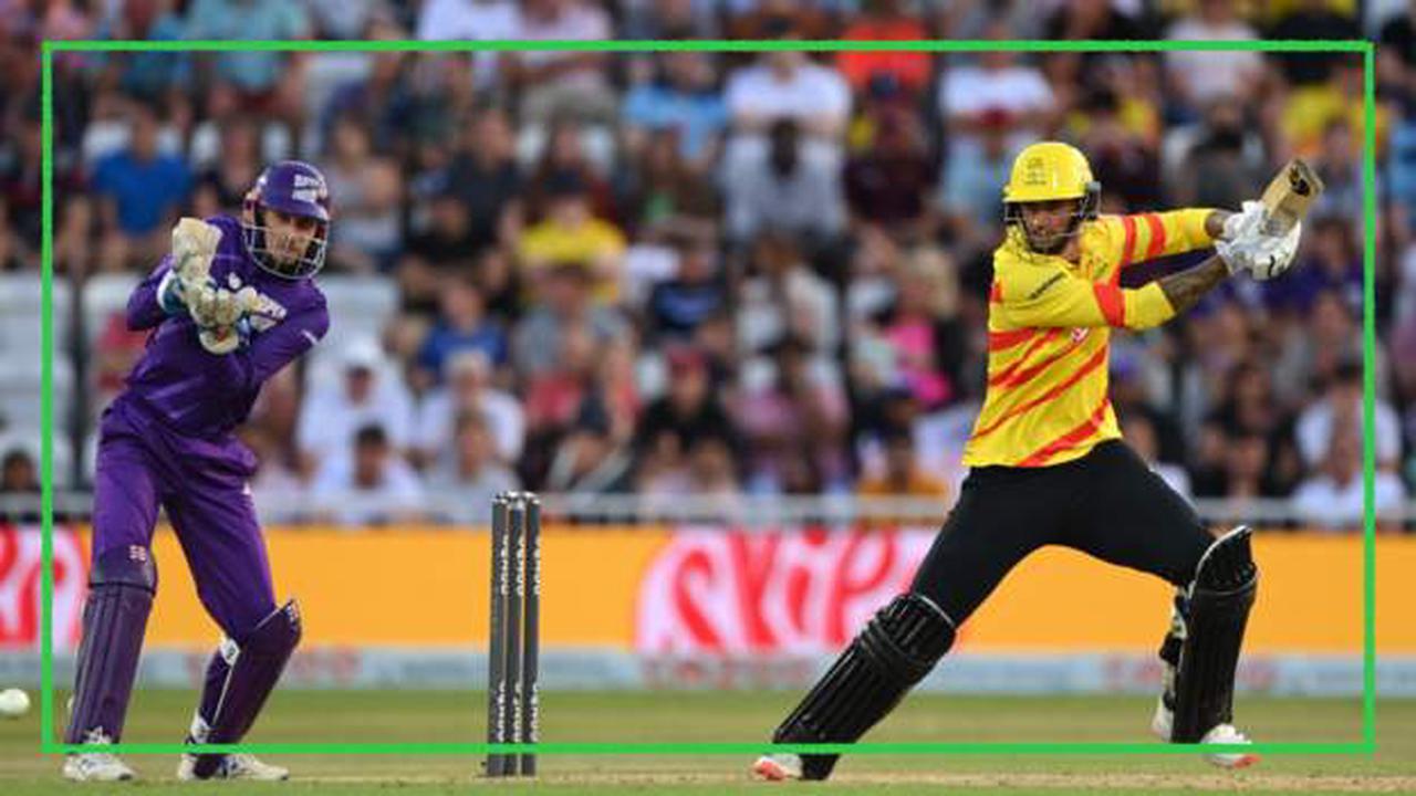 Alex Hales 