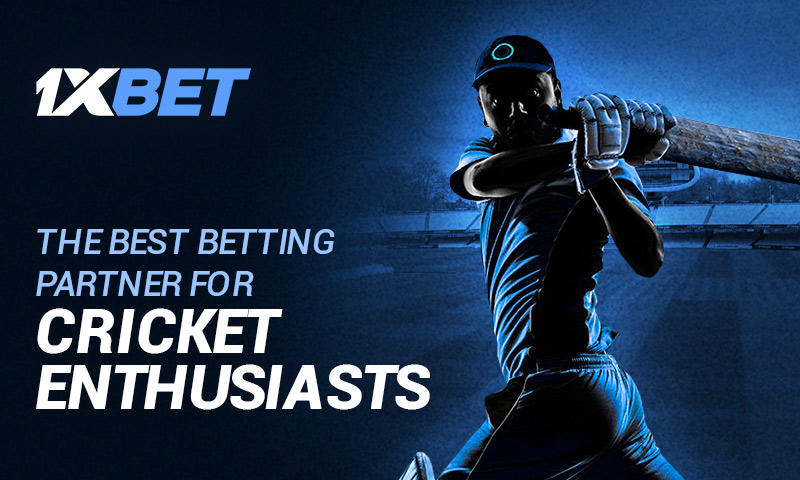 THE BEST BETTING PARTNER FOR CRICKET ENTHUSIASTS