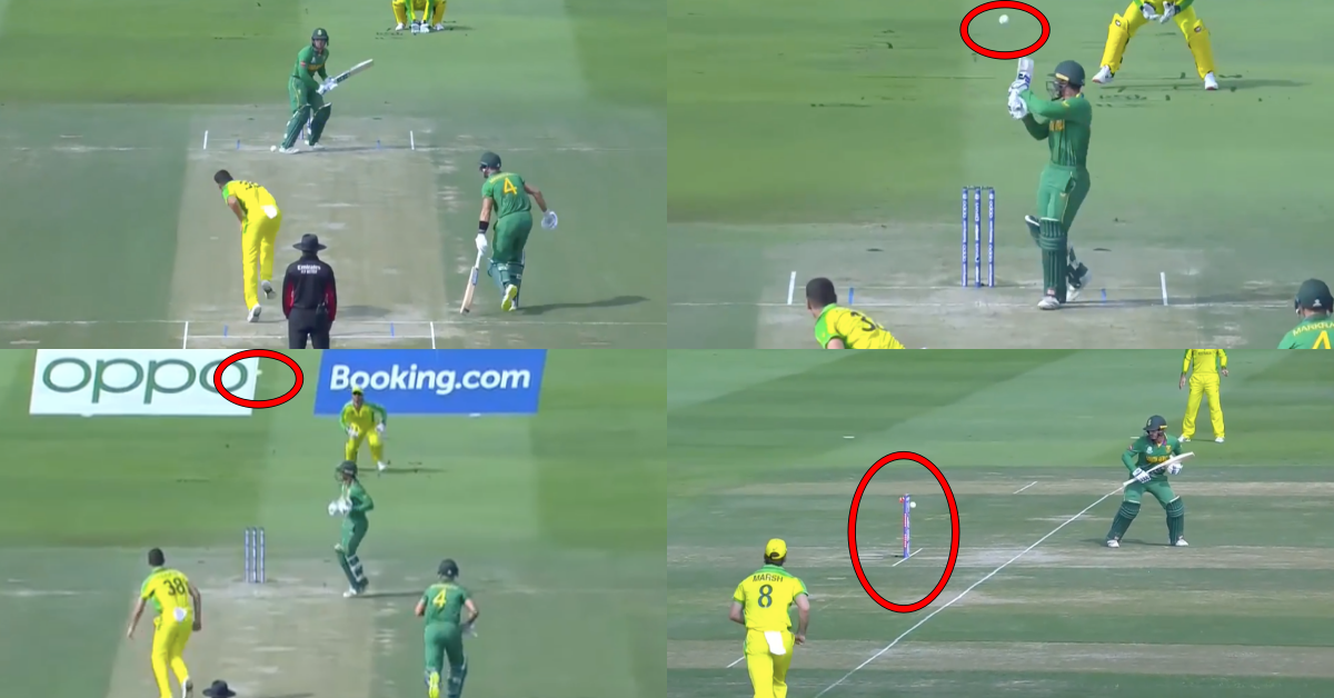 T20 World Cup 2021: Watch - Quinton de Kock Gets Dismissed By Josh Hazlewood In A Comical Fashion