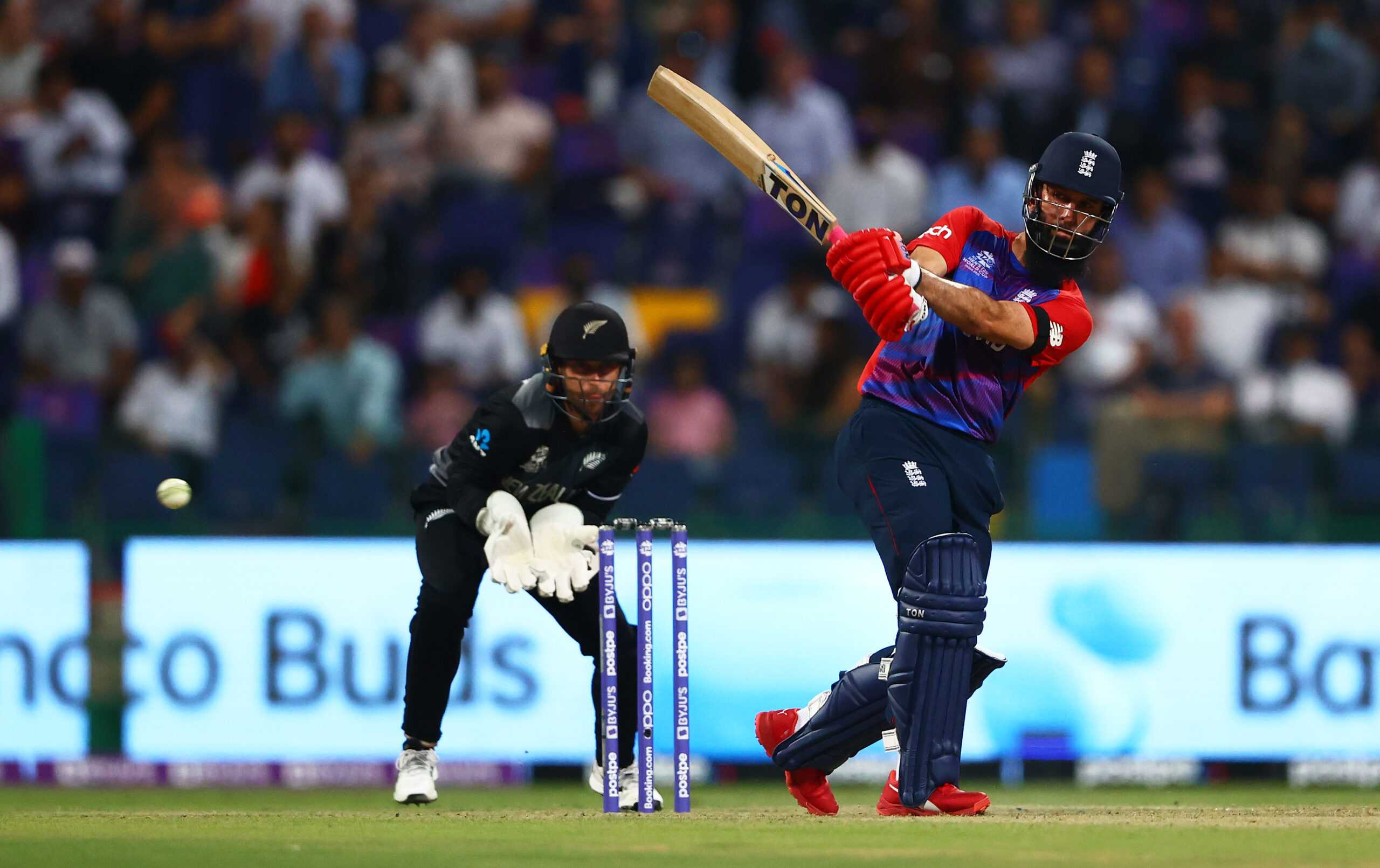 NZ vs AUS Head to Head Records, New Zealand’s Head to Head Record Against Australia– ICC T20 World Cup 2021 Final 2 Moeen Ali, T20 World Cup 2021