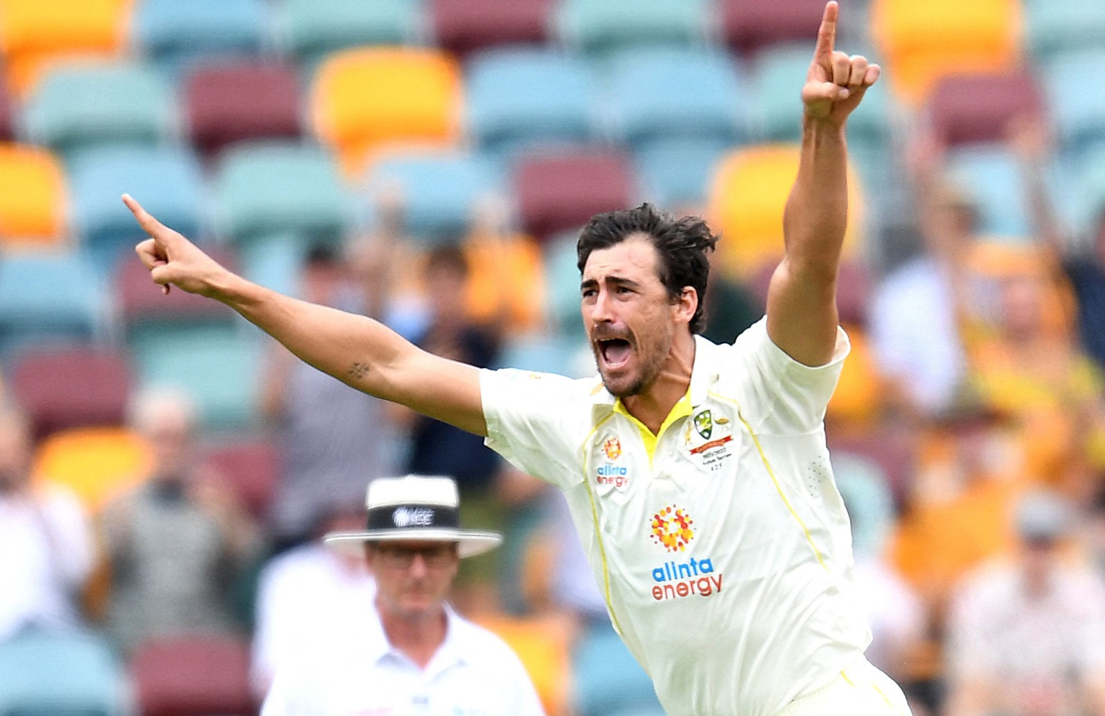 Australian Cricket Awards: IPL DROPOUT Mitchell Starc reveals, 'Thought of quitting cricket completely'