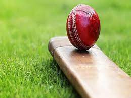 Cricket