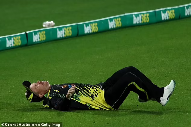 AUS vs ENG: David Warner Suffers Head Injury During Fielding In Second T20I Against England; Cleared To Continue