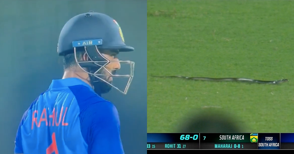 WATCH: Snake stops play during T20I between India and South Africa