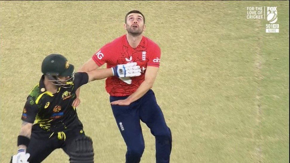Matthew Wade, Mark Wood