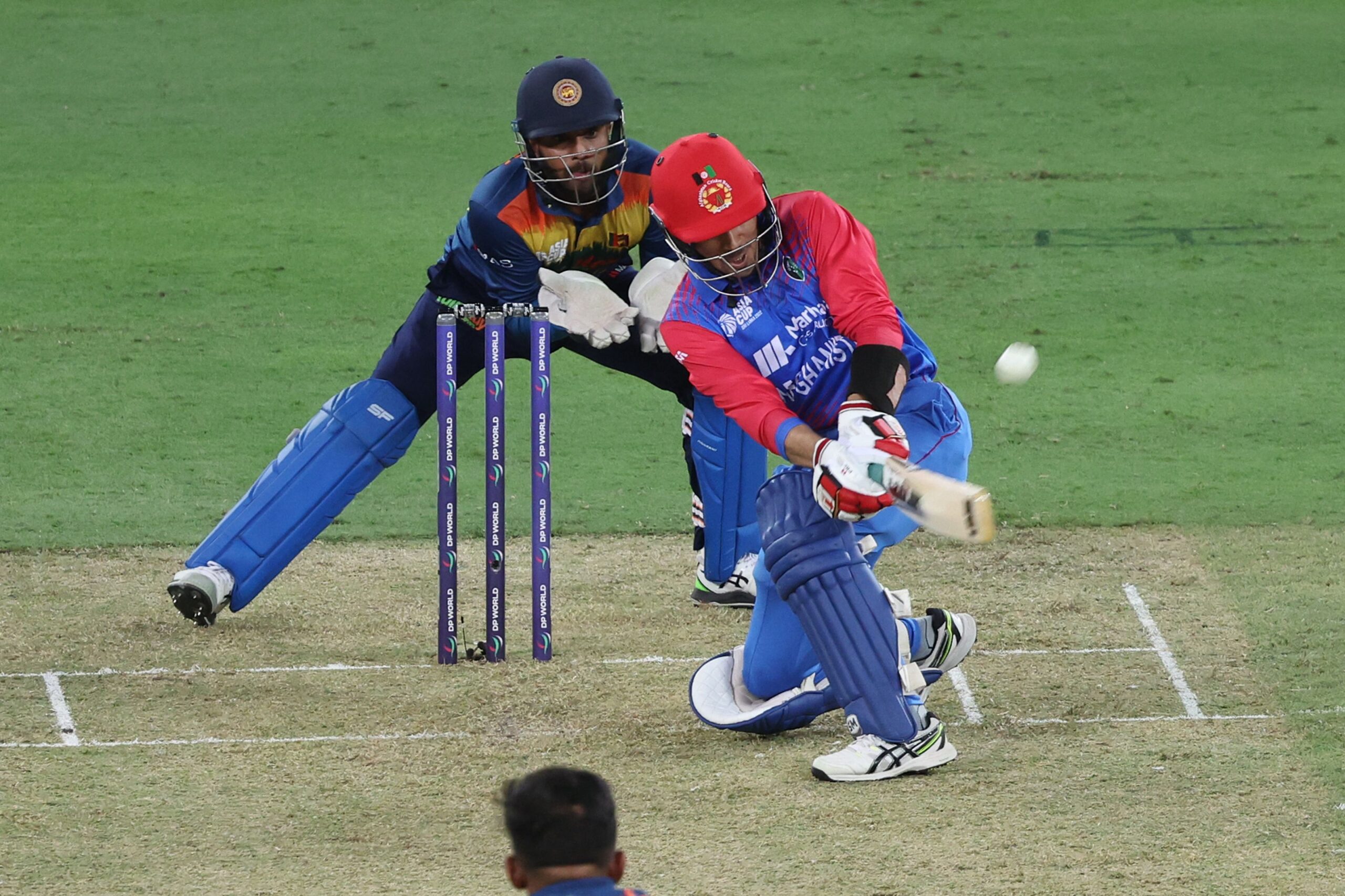 AFG vs SL Live Score T20 World Cup 2022 Live Streaming, Live Telecast