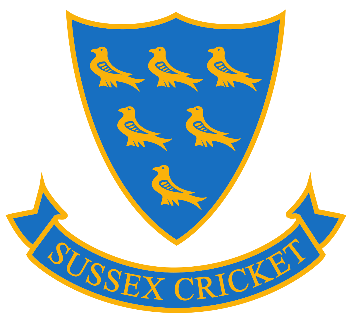 Sussex Cricket