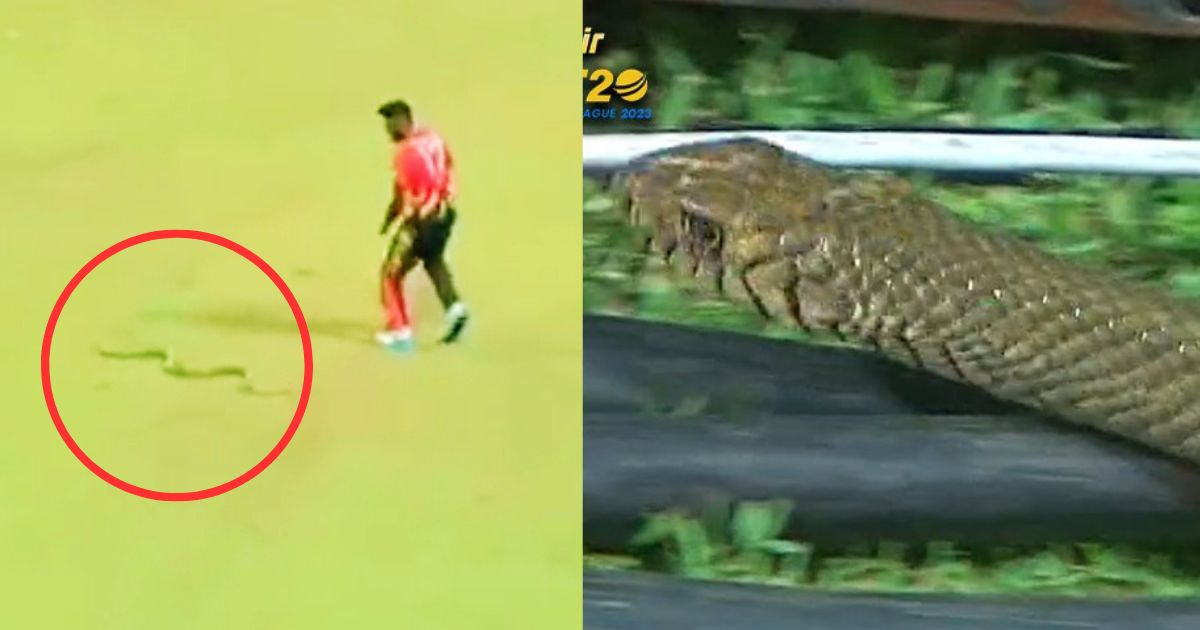 LPL 2023: WATCH: Isuru Udana Escapes A Deadly Encounter With Snake While Fielding During LPL