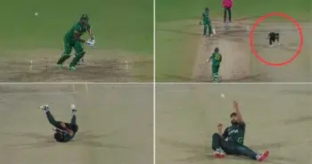 PAK vs SA: Watch - Haris Rauf Takes Unbelievable Catch To Dismiss Lungi Ngidi 2 Haris Rauf