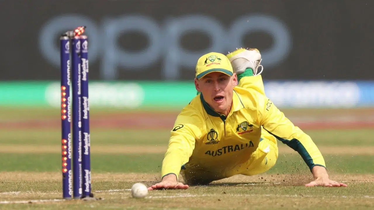 Watch: Marnus Labuschagne Produces Brilliant Run-out To Send Back 