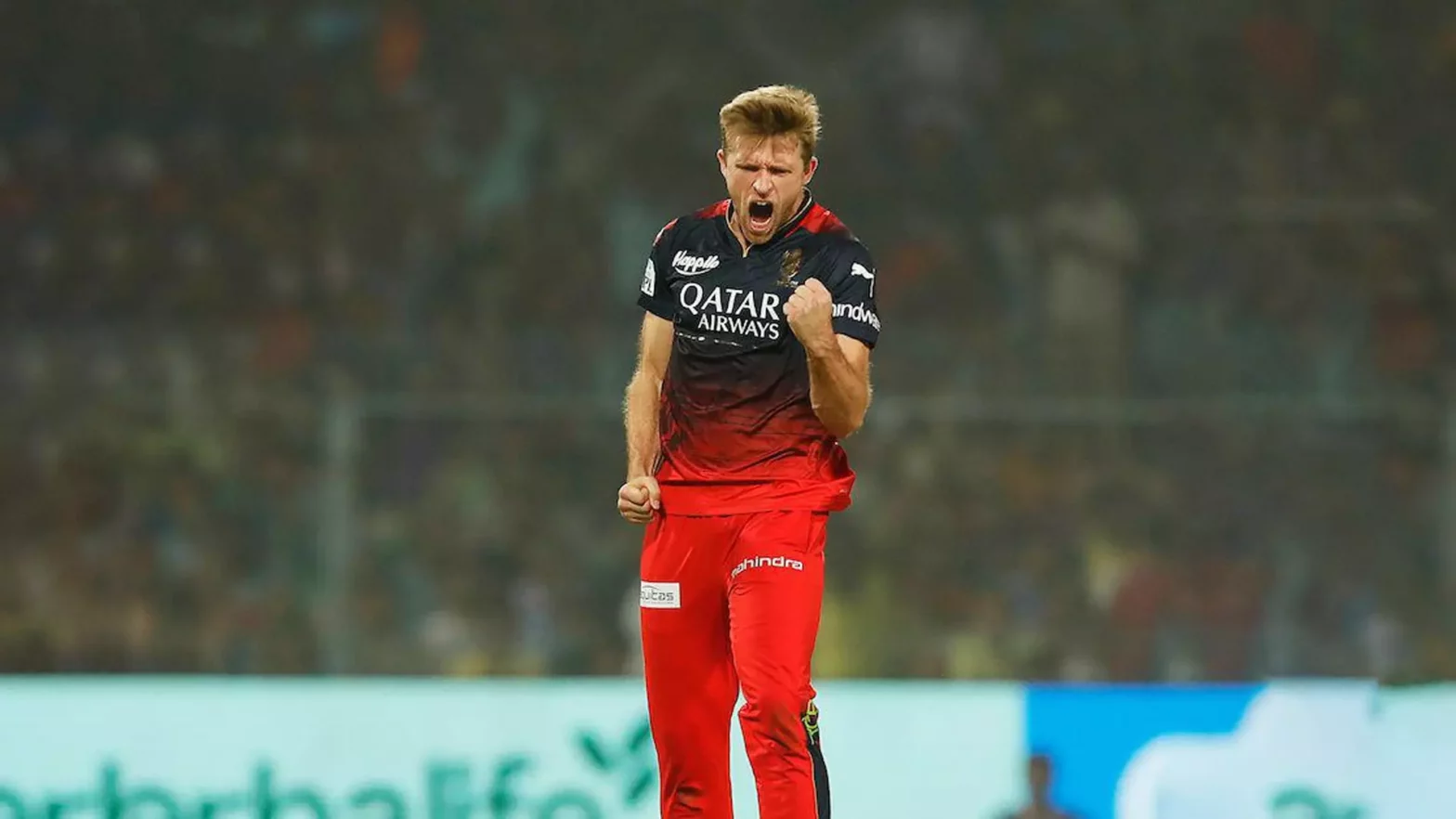 David Willey, IPL 2024 Auction,