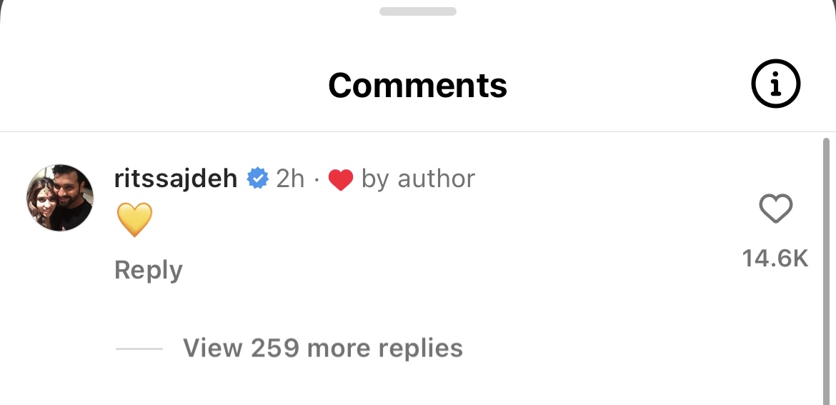 Ritika Sajdeh’s comment on CSK’s post 