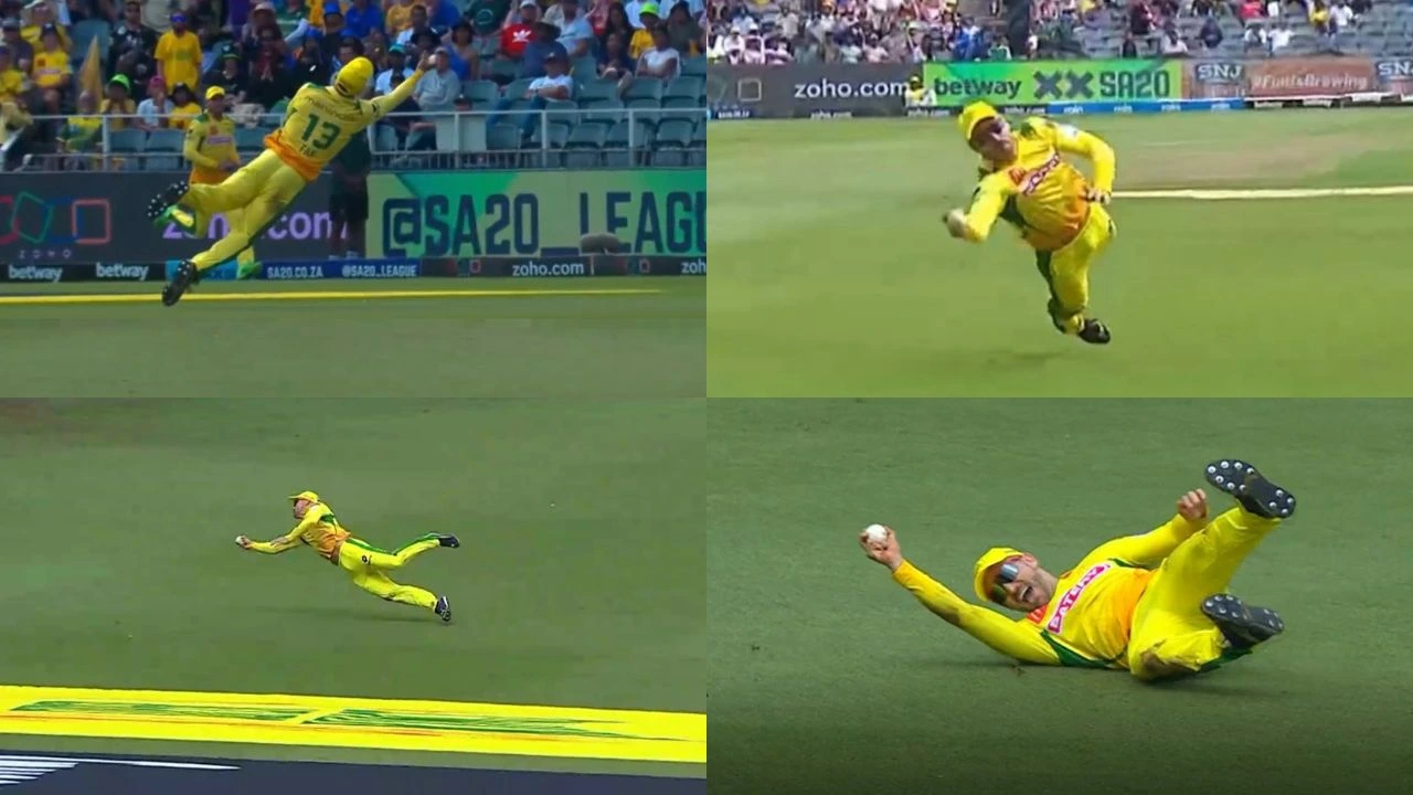 Faf du Plessis Takes Stunner To Dismiss Dewald Brevis