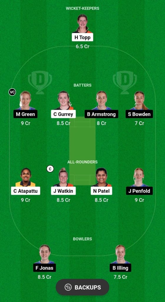 AH-W vs NB-W Dream11 Prediction Fantasy Cricket Tips Dream11 Team Dream11 Women’s Super Smash T20 